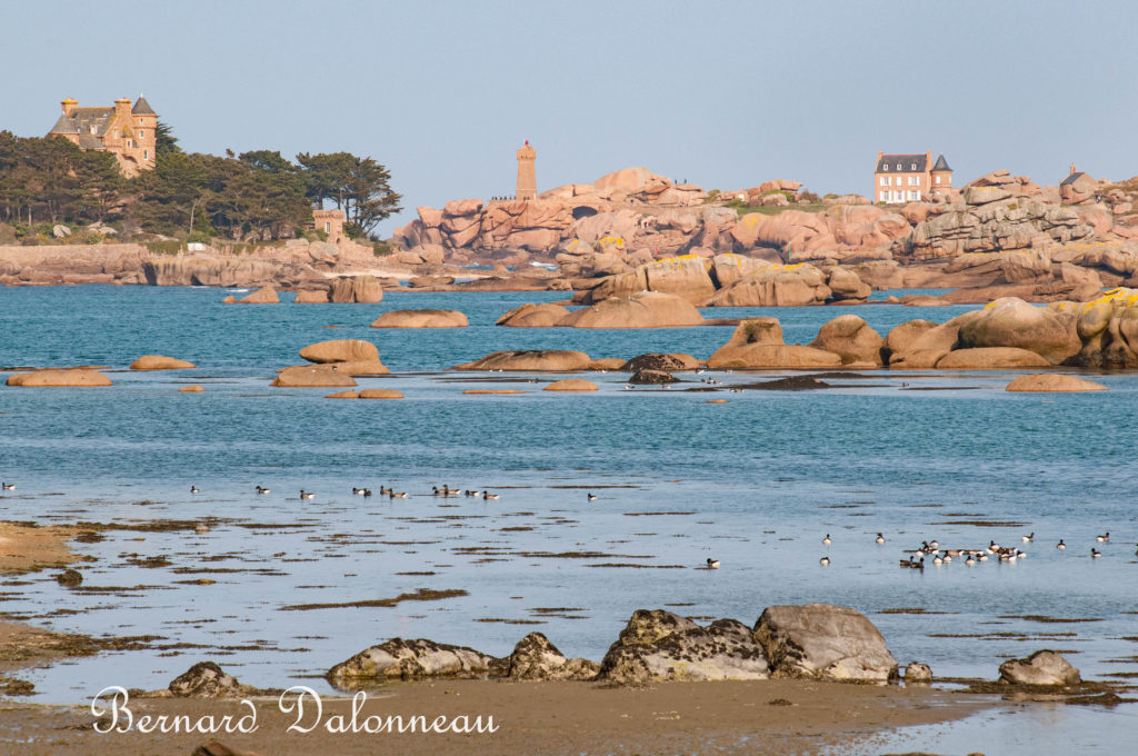 SITES ET PATRIMOINE DE TREGASTEL ASSOCIATION ENVIRONNEMENTALE POUR LA